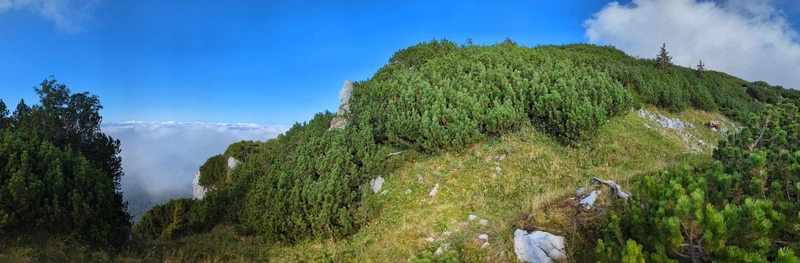 Panorama taken with my mobile phone showing the ibex (on the far right) and the surrounding, above the clouds