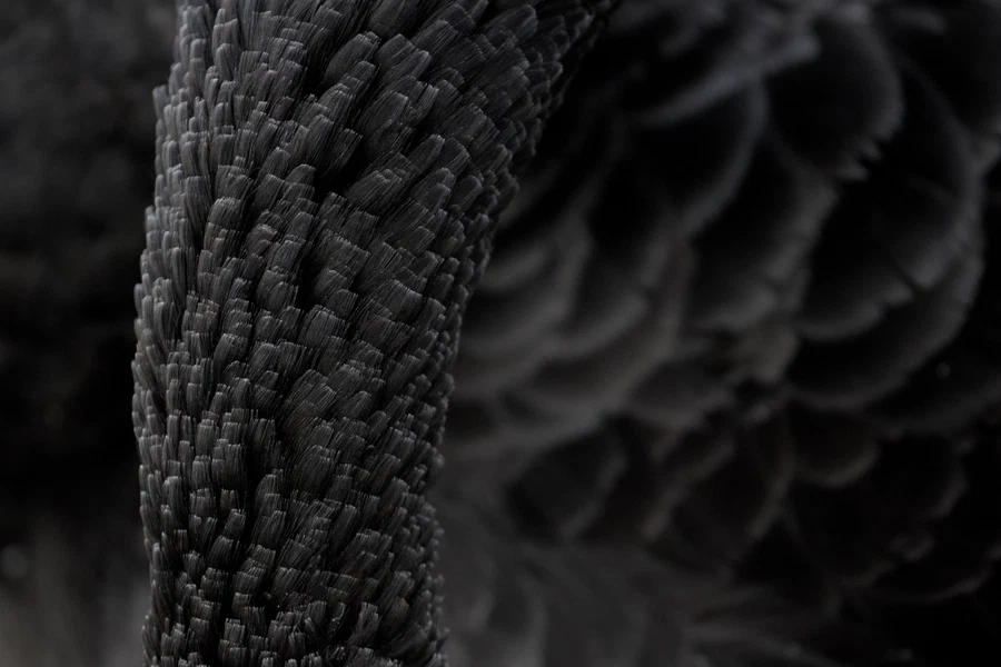 Feathery scales