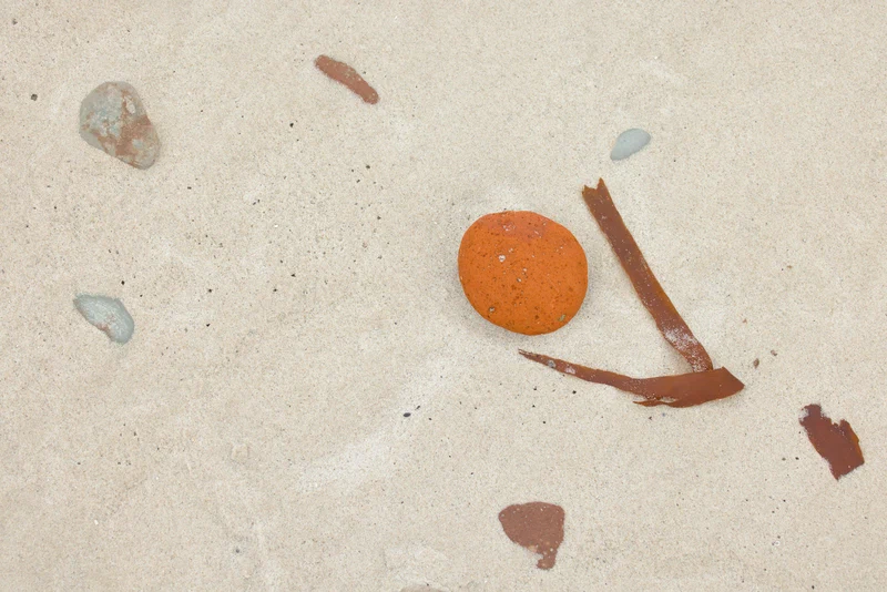 Flotsam